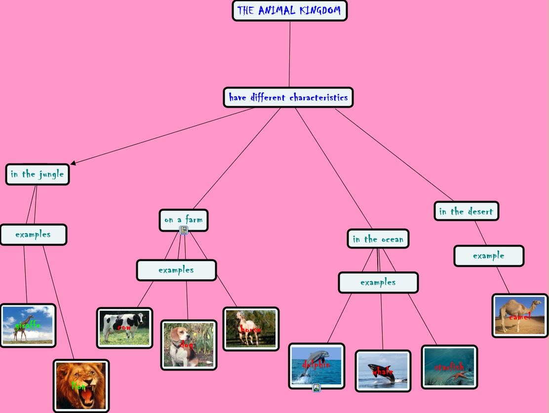ANIMALS KINGDOM